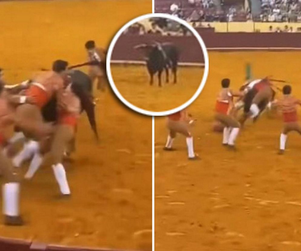Zginął na oczach tysięcy widzów! Byk ruszył prosto na niego