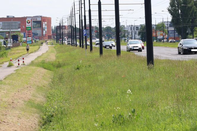 Tak wygląda al. Unii Lubelskiej w Lublinie przed przebudową (pierwsza połowa czerwca 2025)