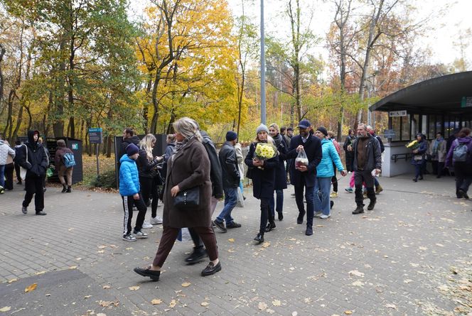 Tłumy na cmentarzu na Miłostowie