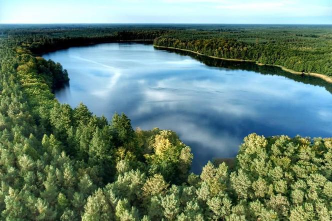 Jezioro Grabino niedaleko Gorzowa. Jak tam dojechać?