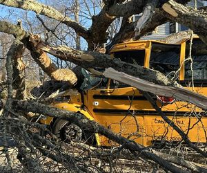 Drzewo runęło na szkolny autobus w New Jersey