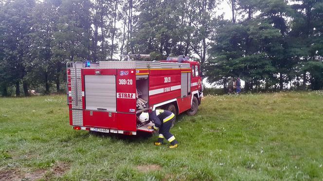 Wielki pożar w Małopolsce. Spłonęło bydło i pies