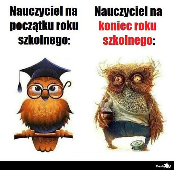 Memy na zakończenie Roku Szkolnego 2023/2024
