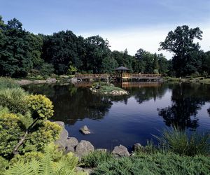 Najpiękniejszy ogród botaniczny w Polsce znów otwarty dla gości. Przygotuj się na widoki jak z bajki 