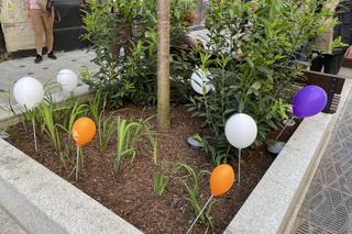 Zielona ulica Krupnicza