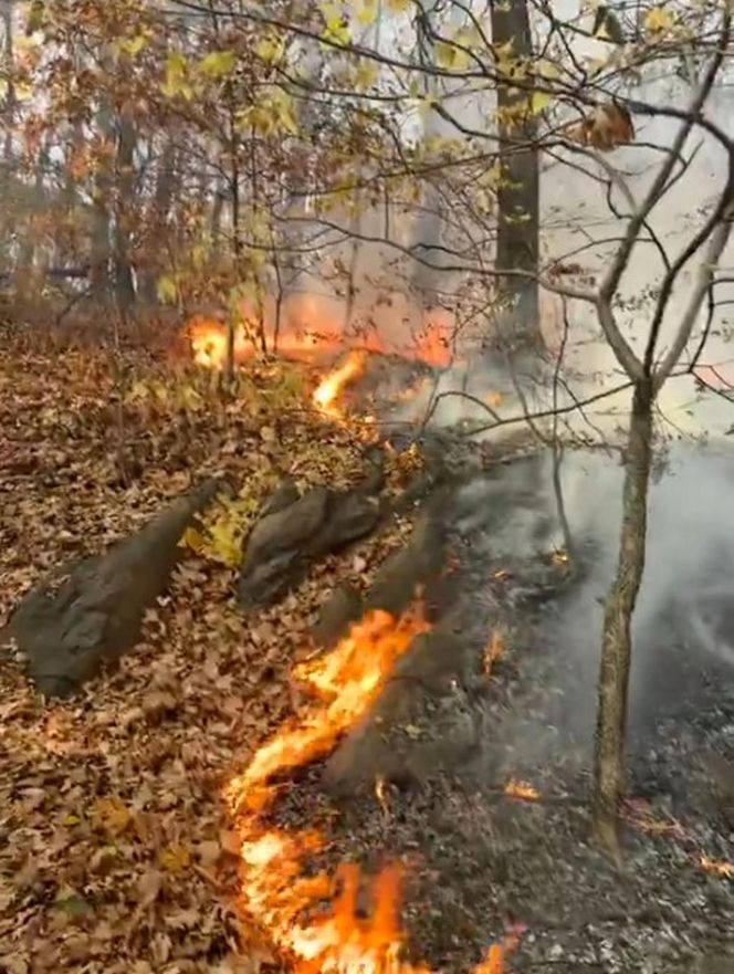 USA: Pożar trawi park na Manhattanie!