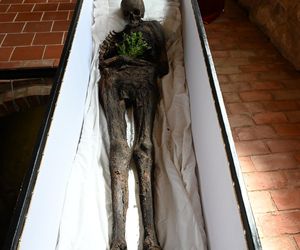 Mumia szlachcica odkryta w Komorowie