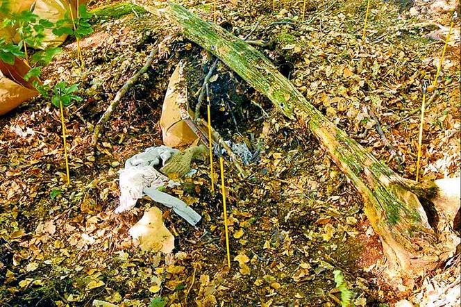 Wykopała się z grobu pierścionkiem zaręczynowym