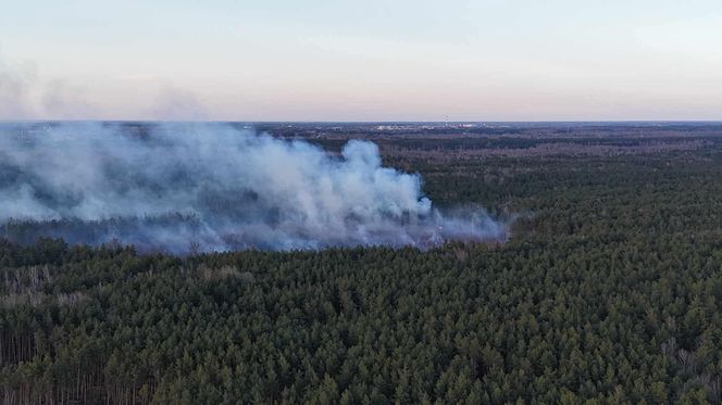 Płonie poligon pod Warszawą. Dym widać z daleka. "Ogień nie jest jeszcze opanowany"