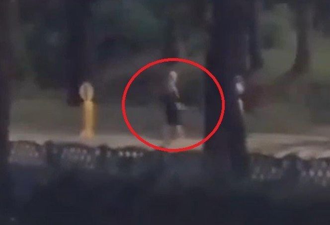 Atak maczetą w Sosnowcu. Policja strzela do napastnika