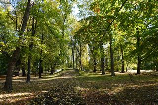 Złota jesień w jednym z najstarszych parków w Lublinie