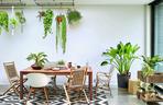 Dom w stylu biophilic - rośliny w roli głównej