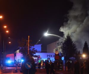 Pożar hali w Sosnowcu