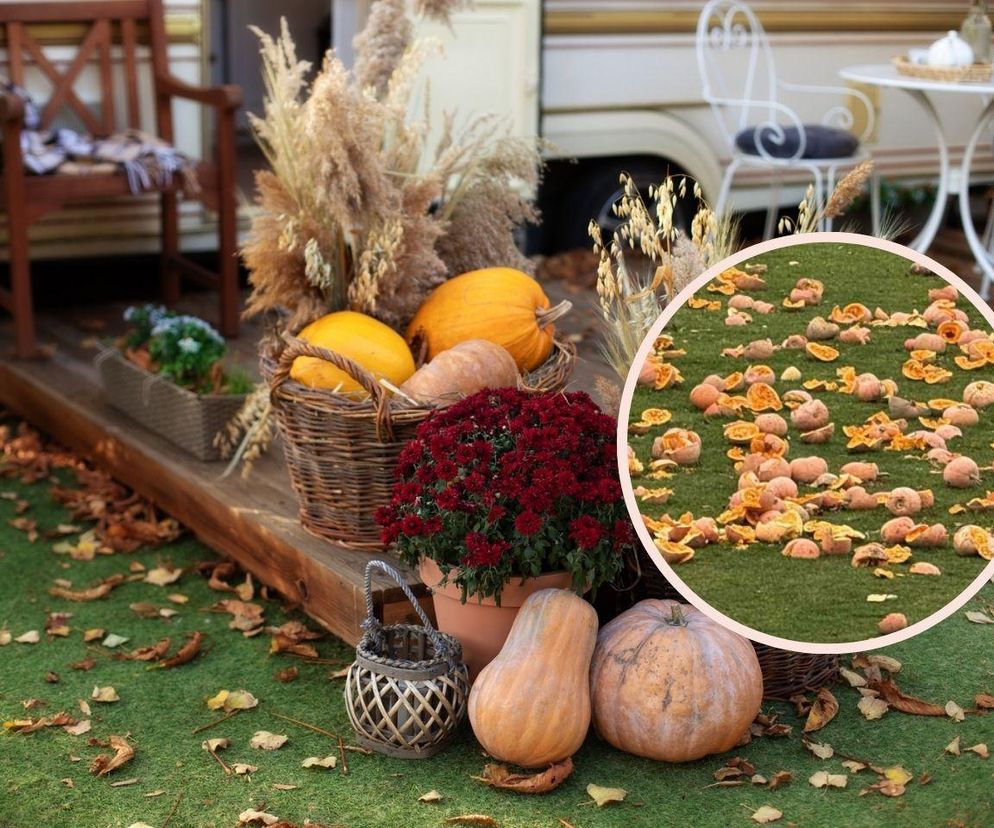 Wystarczyły 3 minuty, by zniszczyć dekoracje w restauracji. Pracownicy karczmy nie wierzą, że rodzice pozwolili na to dzieciom