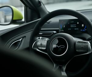 BYD DOLPHIN SURF