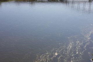 Mężczyzna zniknął w wodach Warty. Trwają poszukiwania