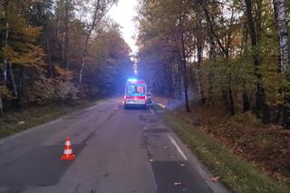 Kierowca cudem przeżył! Na drogę wyskoczyły mu nagle dziki