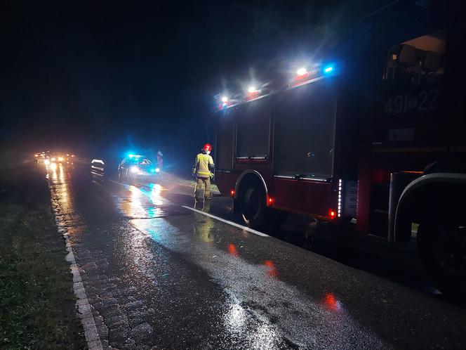  Wypadek w LESIE RZEPIŃSKIM, Mercedes i BMW w rowach. Za kierownicą młodzi ludzie