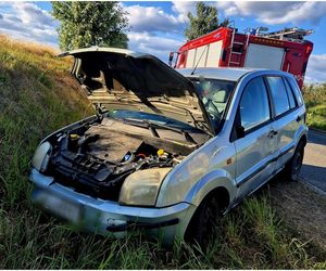 Nietrzeźwa matka wiozła dwójkę dzieci. Auto wjechało do rowu
