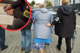 Wielka akcja policji w 10 województwach. Dyrektorki szkół miały wyłudzić miliony na edukację