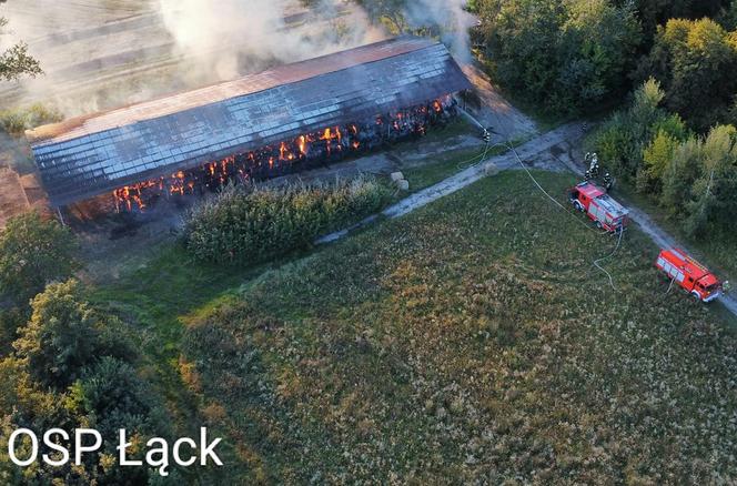 12-latek podpalił stadninę koni w Łącku? Ogromne straty. Strażacy walczyli z ogniem przez prawie 24 godziny [ZDJĘCIA]