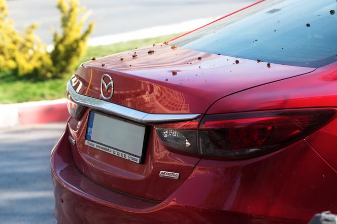 Płock. Fatalny wypadek na Podolszycach! Cofała auto i przejechała inną kobietę