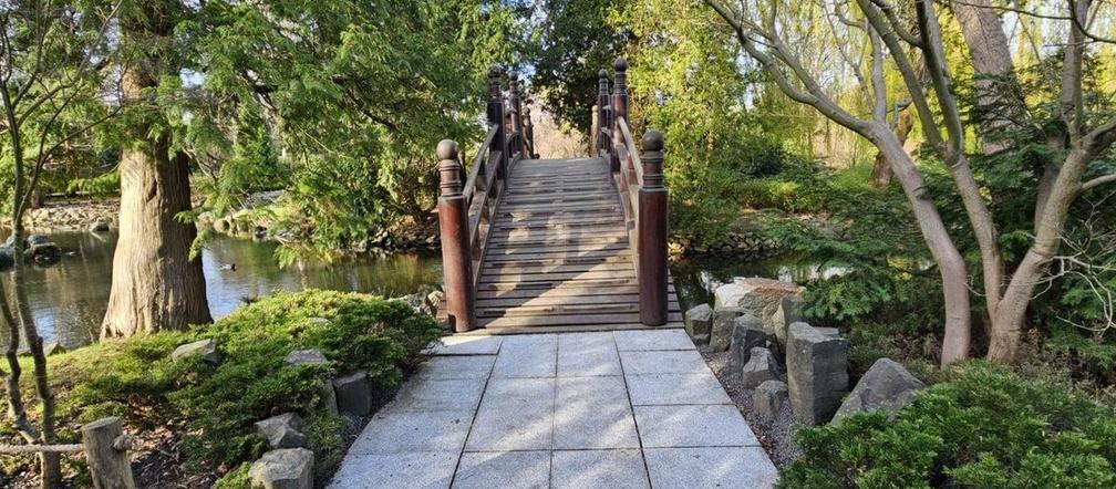 Ogród Japoński otwiera się dla zwiedzających. Na wiosenny spacerek jak znalazł 