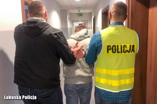 Lubuskie: Dwóch mieszkańców Kostrzyna odpowie za kilka kradzieży sklepowych  