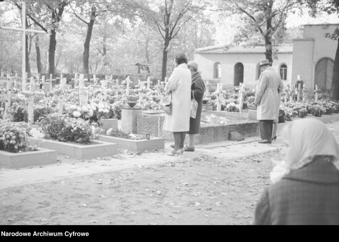 Cmentarze Powązkowskie - 1946-1963