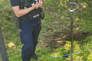 Kobieta żywcem zakopała kociaka