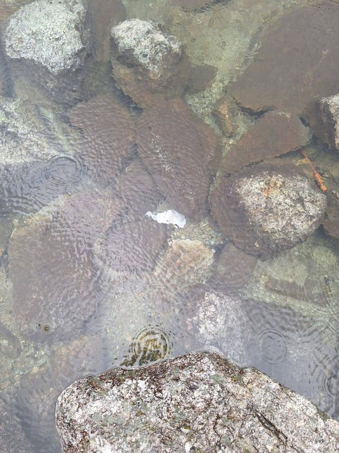 Morskie Oko zaśmiecone jak nigdy. To sprawka turystów. TPN opublikował zdjęcia.