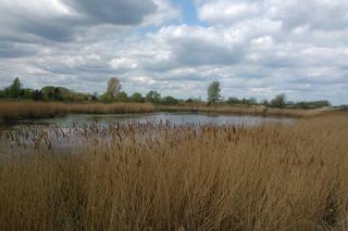 Odludzia - tutaj odetniecie się od świata