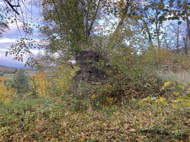 Zamek w Dąbrówce Starzeńskiej