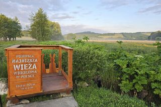To najniższa wieża widokowa w Polsce. Ma 20 cm wysokości!