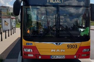  Jamnik za 799 złotych! Kierowczyni autobusu w Warszawie ukarana za maskotkę na szybie. „Chcę walczyć z tym absurdem”