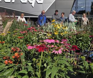 Jesienny Kiermasz Ogrodniczy w Bydgoszczy przyciągnął miłośników zieleni i smakołyków!