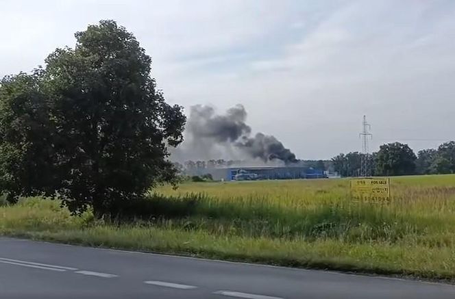 Pożar hali w Bukowicach