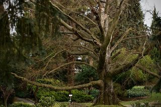 Najpiękniejszy ogród na Dolnym Śląsku w lutym otworzy się dla turystów. Sprawdź, jakie cuda można tam zobaczyć 