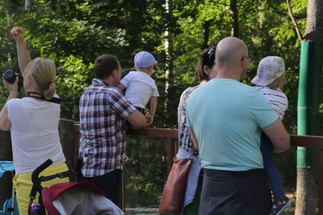 Stawianie dzieci na ogrodzeniu wybiegu dla zwierząt jest zabronione i niebezpieczne.