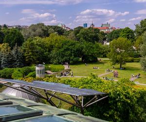 Ogród na dachu BUW w Warszawie