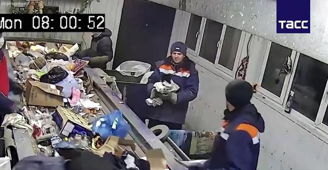 Kot został wiceministrem w Rosji!