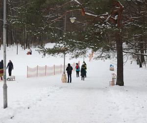Zimowe szaleństwo w Parku Kościuszki w Katowicach