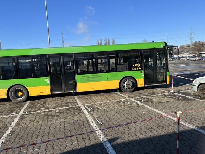 Katarzynki 2023. Prezentacja autobusów w Poznaniu. Zabytkowe autobusy w Poznaniu