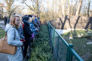 Posłanki i posłowie z wizytą w Zoo