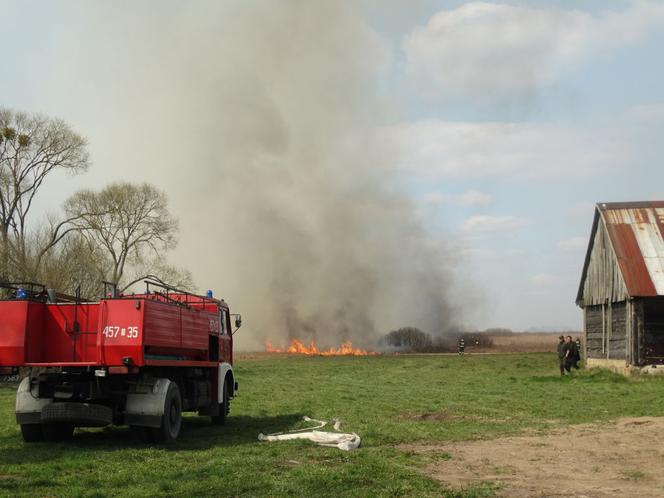 Biebrzański Park Narodowy: Tak płonie natura. Wstrząsające zdjęcia