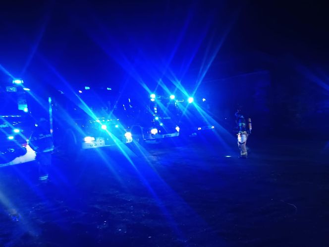 Kalej. Pożar hali produkcyjnej choinek sztucznych