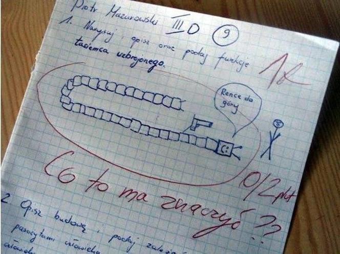 Hity z kartkówek i sprawdzianów. Tak uczniowie walczą o oceny na koniec roku szkolnego [GALERIA]