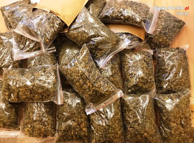marihuana_narkotyki_diler