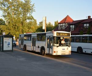 Autobusem MZK do Kamionek nad jezioro. Wiemy skąd i o jakich godzinach kursuje!