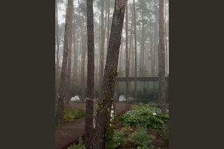 Sylwia Przybysz zaczarowała fanów kadrami z ogrodu. Magia w czystej postaci!